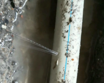 楚雄卫生间测漏水多少钱